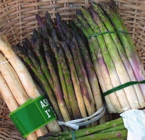 Asparagus