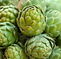 Artichoke