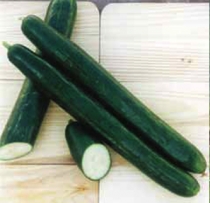 Cucumber