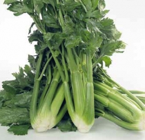 Celery