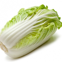 CHINESE CABBAGE NAGAOKA CW00001