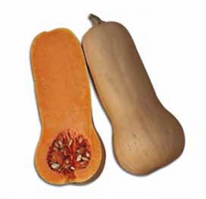 Butternut