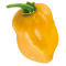 Habanero Naranja