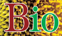 Bio