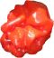 Habanero red Caribbean