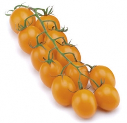 Zagor F1 (ex SAT 20013 F1)