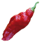 Naga Morich Naga Morich