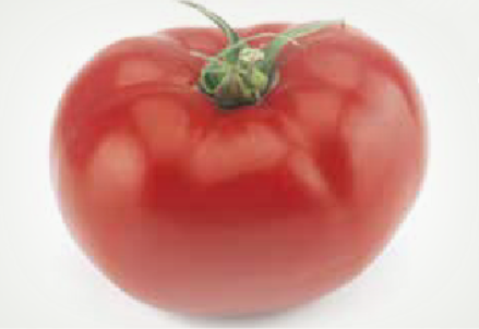 Califfo F1 (ex SAT 20004 F1)