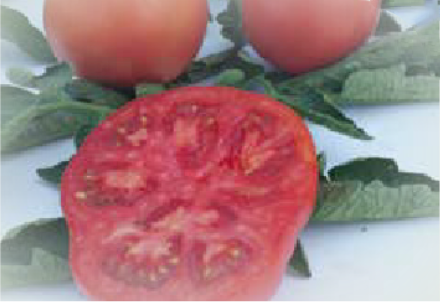 Colosseo F1 (ex SAT 16156 F1)