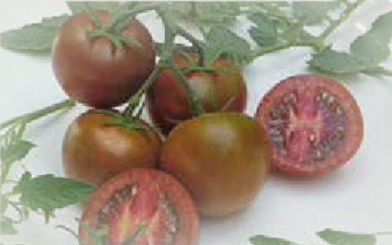 Costantino F1 (ex SAT 22277 F1)