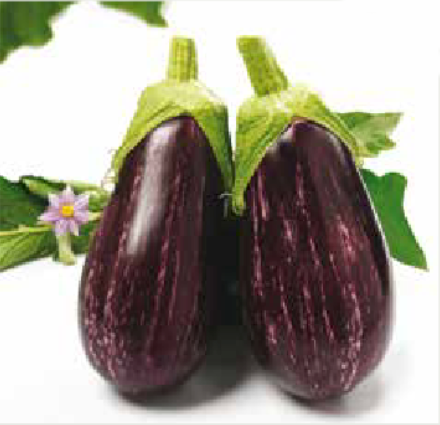 Lucilla F1 (ex SAT 1532 F1)