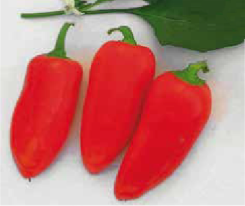 Roger F1 (ex SAT 19830 F1)