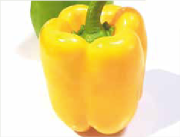 Blink F1 (ex SAT 20050 F1)