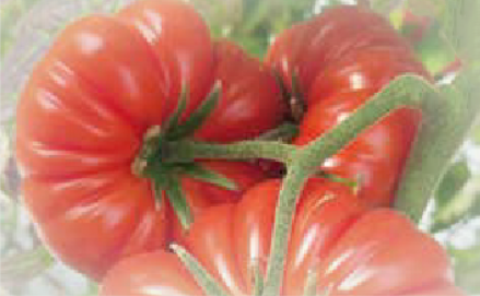 Cosimo F1 (ex SAT 22298 F1)