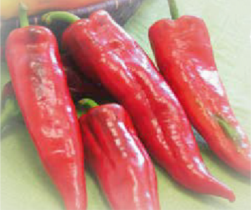 Dreamer F1 (ex SAT 19839 F1)