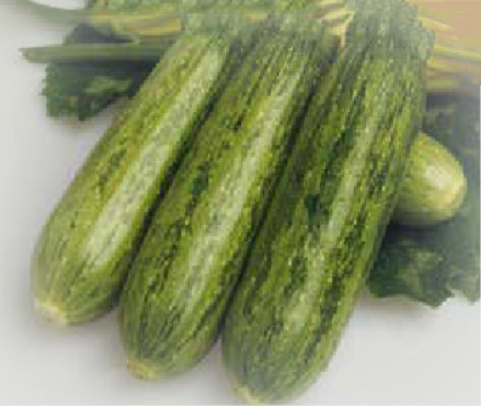 Leopard F1 (ex SAT 18641 F1)