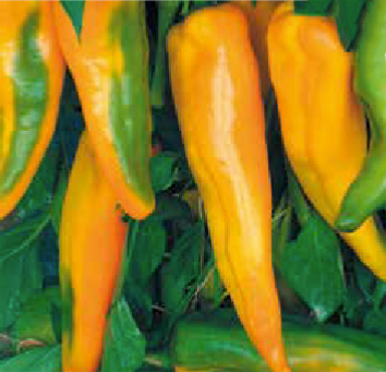 Prospero F1 (ex SAT 18004 F1)