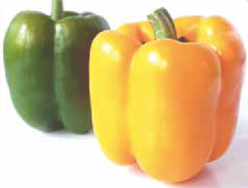 Smile F1 (ex SAT 19040 F1)