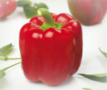 Theo F1 (ex SAT 1523 F1)